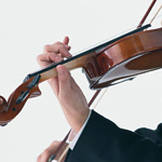 violin_0011